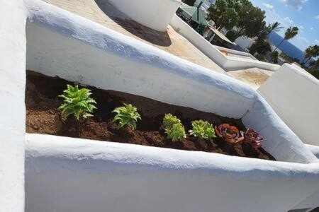 קוסטה טגוויסה Fantastico Apartamento Con Terraza Y Vistas Al Mar מראה חיצוני תמונה